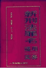 新刑法罪名适用实务  袖珍手册