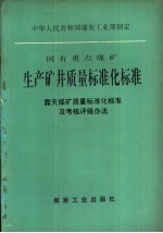 国有重点煤矿生产矿井质量标准化标准  天煤矿质量标准化标准及考核评级办法