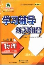 学习辅导练习组合  物理  八年级  下  人教版