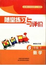 随堂练习与评价  数学  六年级  下  国标苏教