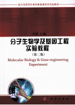 分子生物学及基因工程实验教材