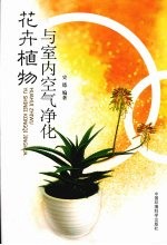 花卉植物与室内空气净化