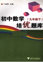 初中数学培优题库  九年级  下