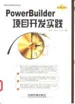 PowerBuilder项目开发实践