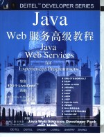 Java Web服务高级教程