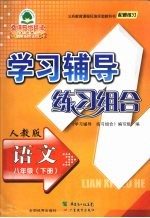 学习辅导练习组合  语文  八年级  下  人教版