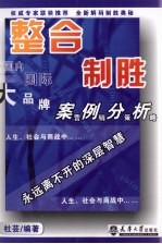 整合制胜  国内国际大品牌案例分析营销策略