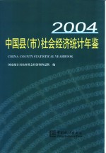 中国县（市）社会经济统计年鉴  2004