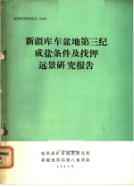 新疆库车盆地第三纪成盐条件及找钾远景研究报告