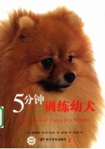 5分钟训练幼犬