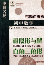 专题讲练考  初中数学  相似形与解直角三角形