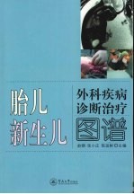 胎儿新生儿  外科疾病诊断治疗图谱