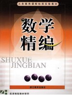 义务教育课程标准实验教材  数学精编  九年级全