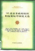 '95北京非政府组织妇女论坛中国论文选  下