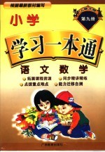 小学学习一本通  语文·数学  第9册  人教大纲