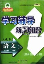 学习辅导练习组合  语文  九年级  下  人教版