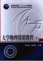 大学物理简明教程  上