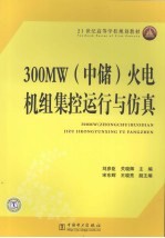 300MW 中储 火电机组集控运行与仿真