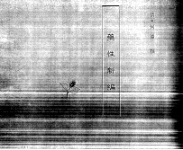 中国本草全书  第150卷  药性新编