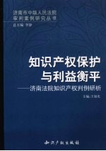 知识产权保护与利益衡平：济南法院知识产权判例研析