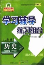 学习辅导练习组合  历史  九年级  下  人教版