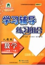 学习辅导练习组合  数学  八年级  下  人教版