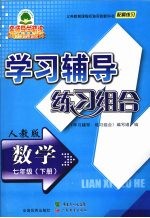 学习辅导练习组合  数学  七年级  下  人教版