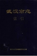 武汉市志  索引  上