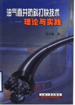 油气直井防斜打快技术  理论与实践