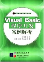 Visual Basic程序开发案例解析