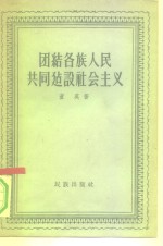 团结各族人民共同建设社会主义