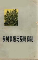 茶树栽培与茶叶初制