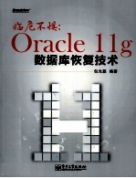 临危不惧  Oracle 11g数据库恢复技术