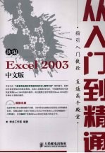 新编Excel 2003中文版从入门到精通