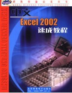 中文Excel 2002速成教程