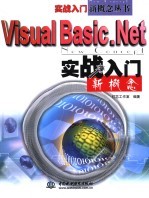 Vsual Basic.Net实战入门新概念