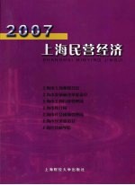 2007  上海民营经济