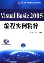 Visual Basic 2005编程实例精粹