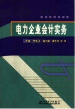 电力企业会计实务