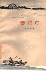 雪打灯