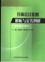 具体会计准则解析与实务例解  2006会计准则