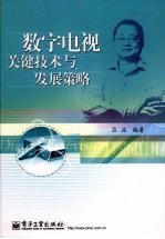 数字电视关键技术与发展策略