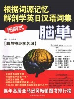 根据词源记忆解剖学英日汉语词集  英文·日文·中文(图解式)  脑与神经学名词