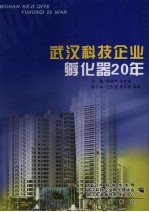 武汉科技企业孵化器20年