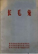 长毛兔