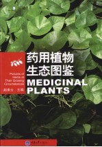 药用植物生态图鉴