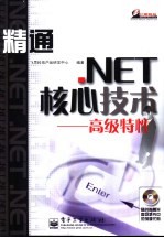 精通.NET核心技术 高级特性