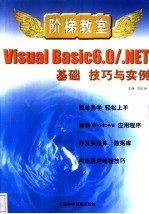 Visual Basic 6.0/NET基础 技巧与实例