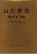 山东省志  第38卷  煤炭工业志  上