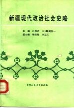 新疆现代政治社会史略  1912-1949年